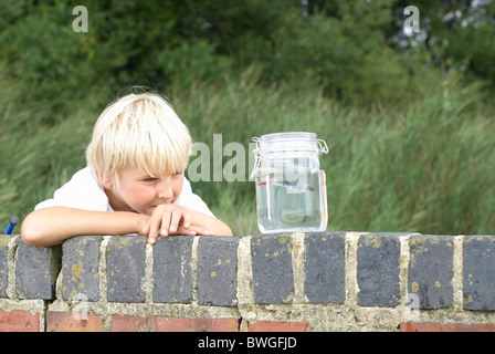 Ragazzo che guarda a pesci in un vaso Foto Stock