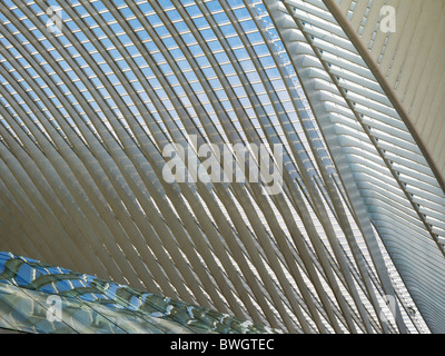 Tetto architettonica particolare della stazione in Liège-Guillemin, Belgio, Europa Foto Stock