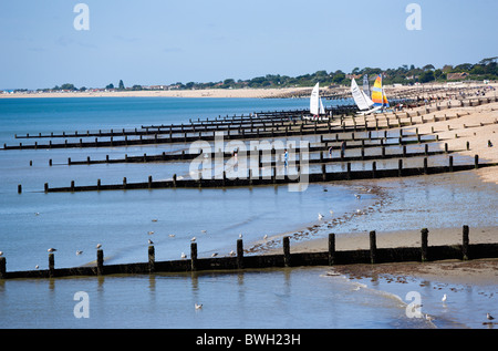 Inghilterra West Sussex Bognor Regis pennelli di legno a bassa marea utilizzato come mare difese contro erosione della ghiaia spiaggia ghiaiosa Foto Stock