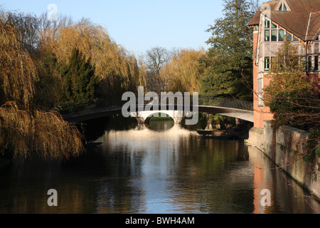 Fiume Cam in Cambridge Foto Stock