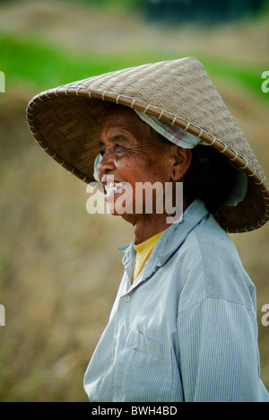 Una donna in un cappello conico funziona il campo di riso in Ubud, Bali, Indonesia. Le donne fanno la maggior parte dei difficili compiti di raccolta di Bali Foto Stock