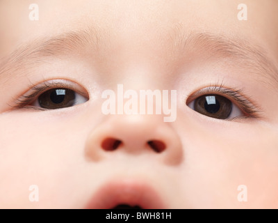 Primo piano di una faccia di un sei mesi baby boy con occhi marroni Foto Stock