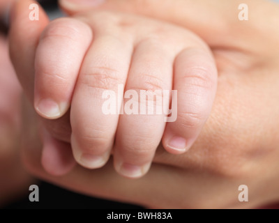 Primo piano di un sei mesi baby la mano nella mano di adulti Foto Stock