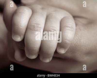 Primo piano di un sei mesi baby la mano nella mano di adulti Foto Stock