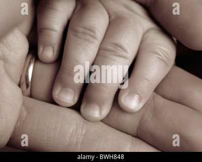 Primo piano di un sei mesi baby la mano nella mano del padre Foto Stock