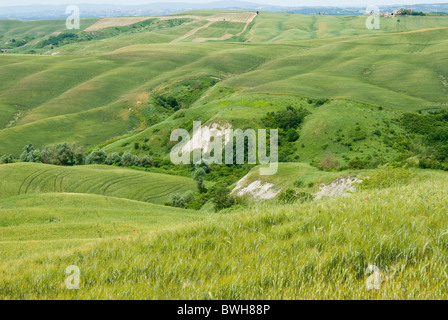 Crete senesi, vicino a Asciano, in provincia di Siena, Siena, Toscana, Italia, Europa Foto Stock