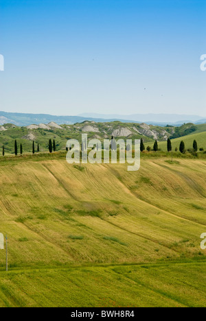 Crete senesi, vicino a Asciano, in provincia di Siena, Siena, Toscana, Italia, Europa Foto Stock