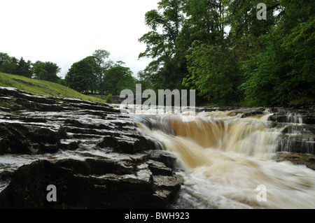 STAINFORTH vigore nel diluvio. Acqua Bianca.vicino a Settle,North Yorkshire. Foto Stock