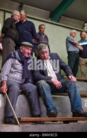 Gli allevatori di bestiame auction in Ennis, Co. Clare, Irlanda Foto Stock