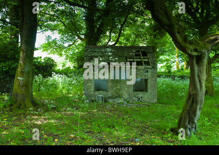 Capanna abbandonati in ambiente rurale, Kilfenora, County Clare, Irlanda Foto Stock