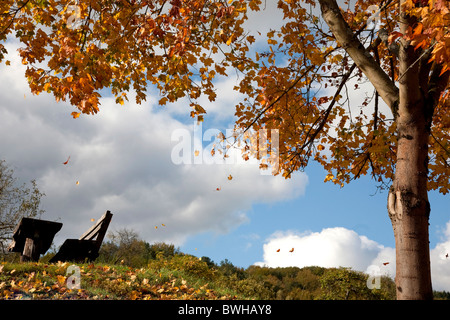 Albero a foglie decidue con foglie che cadono in autunno davanti a un cielo nuvoloso, Renania-Palatinato, Germania, Europa Foto Stock