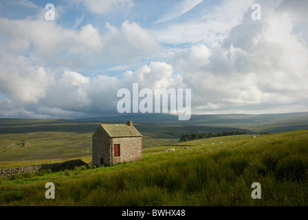 Fienile su Alston Moor, North Pennines, Cumbria, England Regno Unito Foto Stock