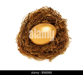 Golden Egg in un nido che rappresenta il risparmio a fini pensionistici o la sicurezza Foto Stock