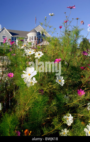 Locanda del Mare hotel fiori da giardino cape Elizabeth Maine USA America Stati Uniti Foto Stock