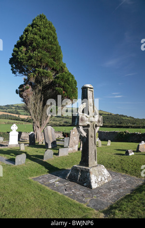 Uno dei Ahenny alta attraversa in Kil Clispeen cimitero, Ahenny, Co Tipperary, Irlanda. Foto Stock