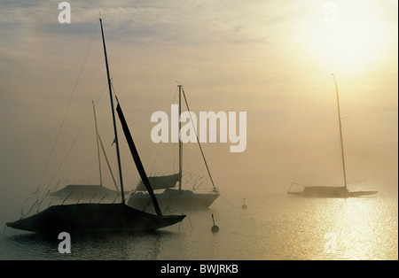 L'Europa, in Germania, in Baviera, vicino a Diessen, Lago Ammer Foto Stock