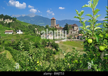 Il castello Schloss Tirol e apple orchard a Tirolo / Dorf Tirol, Dolomiti, Italia Foto Stock