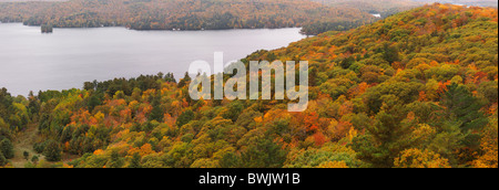 Panoramica di caduta dell'antenna paesaggio naturale del lago di baie e colline ricoperte con moquette molto spessa di Misto bosco colorato Foto Stock