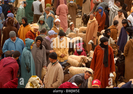 Persona di mercato capre, bovini ovini Goulmima Marocco Africa Africa del Nord Foto Stock