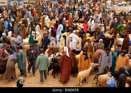 Persona di mercato capre, bovini ovini Goulmima Marocco Africa Africa del Nord Foto Stock