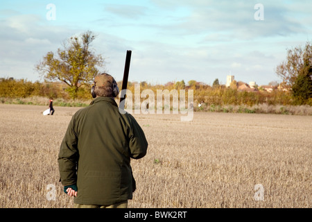 Un sparatutto (pistola) in attesa della selvaggina di salita su una ripresa, Cambridgeshire, Regno Unito Foto Stock