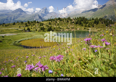 Scenario di Alp Flix, Sur, Grigioni, Svizzera Foto Stock