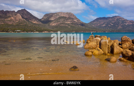 Un solitario Gabbiano pacifico (Larus pacificus) guardando attraverso Coles Bay per i pericoli nel Parco Nazionale di Freycinet, Tasmania Foto Stock