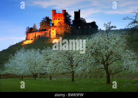 Fiore di Ciliegio, Ortenberg Castello, vicino a Offenburg, regione di Ortenau, Foresta Nera, Baden-Wuerttemberg, Germania Foto Stock