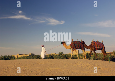 Cammello cammelli a dorso di cammello guida vacanze turismo vacanza scenario desertico paesaggio Jumeirah Bab Al Shams hot Foto Stock