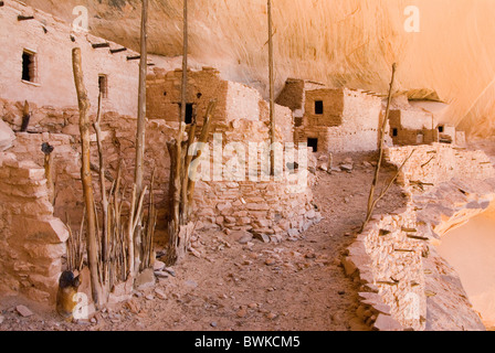 Keet Seel rovine rovine rocce insediamento cultura Anasazi Nativi Americani nativi indiani Navajo monumen nazionale Foto Stock