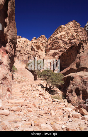 Petra gulch roccia pareti di roccia Sentiero scogliera di pietra deserto paesaggio Giordania Medio Oriente Foto Stock