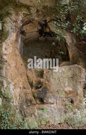 Tomba etrusca, necropoli etrusca di San Potente, Tuscania, provincia di Viterbo, Lazio, Italia Foto Stock