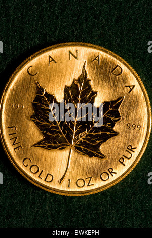 Uno oncia d'Oro Canadian Maple Leaf Bullion Coin Foto Stock