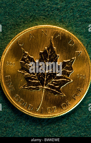 Uno oncia d'Oro Canadian Maple Leaf Bullion Coin Foto Stock