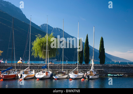 Barche a vela nella marina, Torbole sul lago di Garda, Lago di Garda, Trentino, Italia, Europa Foto Stock