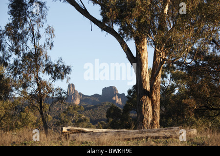 Australia, Nuovo Galles del Sud, Coonabarabran Namoi Street, Warrumbungles National Park, Belougery guglia e la Breadknife Foto Stock