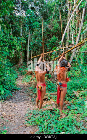 Venezuela sud America Yanomami Ironavi trib Indios Hunter Freccia di prua uomini uomo arcieri Archer caccia Hun Foto Stock