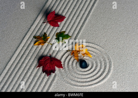 Rastrellata sabbia - zen rock garden - Giappone Zen spirito ispirato disposizione Foto Stock