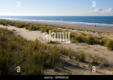 Guardando attraverso le dune di sabbia a Noordwijk il mare verso il Mare del Nord. Costa olandese. Foto Stock