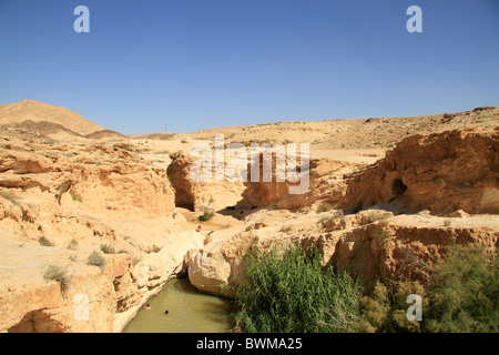 Israele Negev, Ein Yorkeam in Nahal Hatira Foto Stock