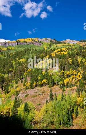 Autunno a colori sul San Juan Skyway (autostrada 550), Uncompahgre National Forest, Colorado Foto Stock