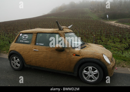 I concorrenti in costume alla regione di Champagne a Reims durante il 2010 Beaujolais Run Foto Stock