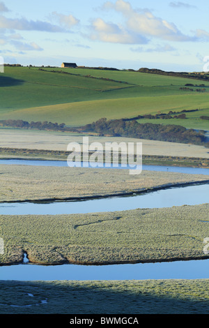 Il sole del mattino si scongela inizio gelo invernale in Cuckmere Valley, Exceat Nr Eastbourne, East Sussex, Inghilterra. Foto Stock