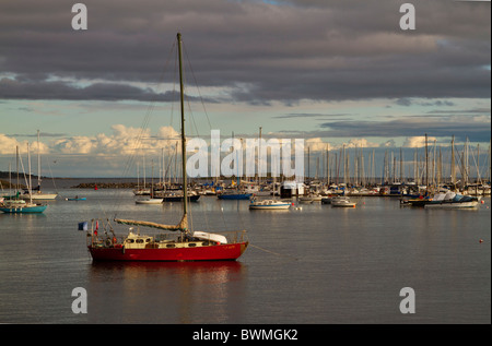 Ancorate barche a vela in Oak Bay, Victoria, British Columbia, Canada Foto Stock