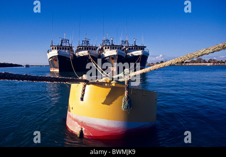 Flotta di gamberi in porto, Karumba, Golfo di Carpentaria, N Queensland, Australia Foto Stock