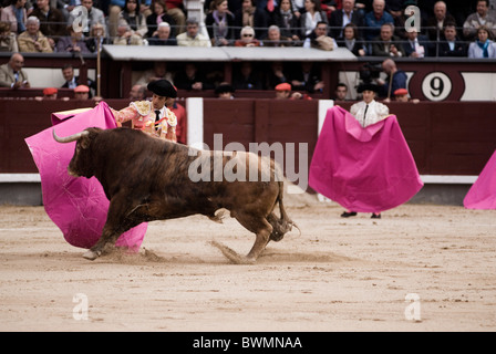 La corrida in arena Las Ventas. Madrid . Spagna Foto Stock