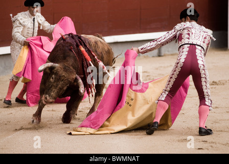 La corrida in arena Las Ventas. Madrid . Spagna . Foto Stock