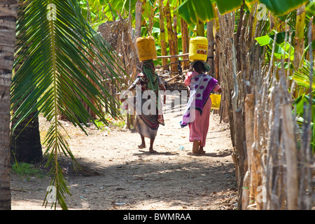 Le donne che trasportano acqua, Pate isola di Lamu Isola, Kenya Foto Stock