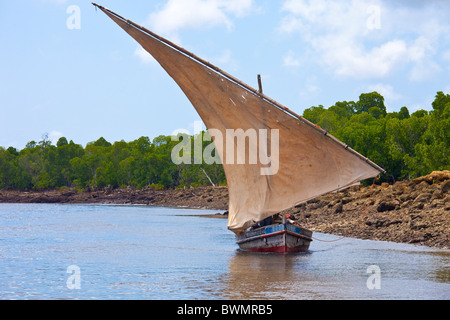 Dhow a vela in un canale off di isola di Lamu, Kenya Foto Stock