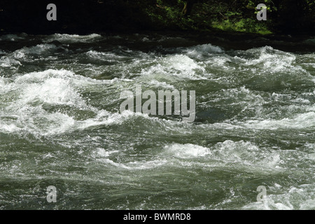 Acqua Bianca - Nantahala River, North Carolina, STATI UNITI D'AMERICA Foto Stock